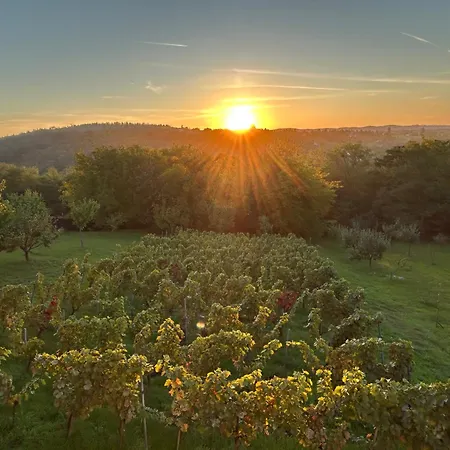Balaton - Your Hide Away *