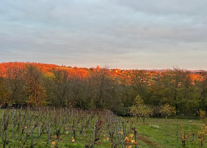 Balaton - Your Hide Away Feriehus